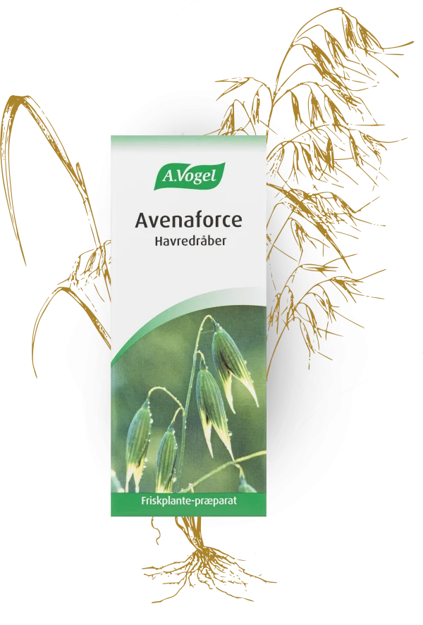 A.Vogel Avenaforce (100 ml)
