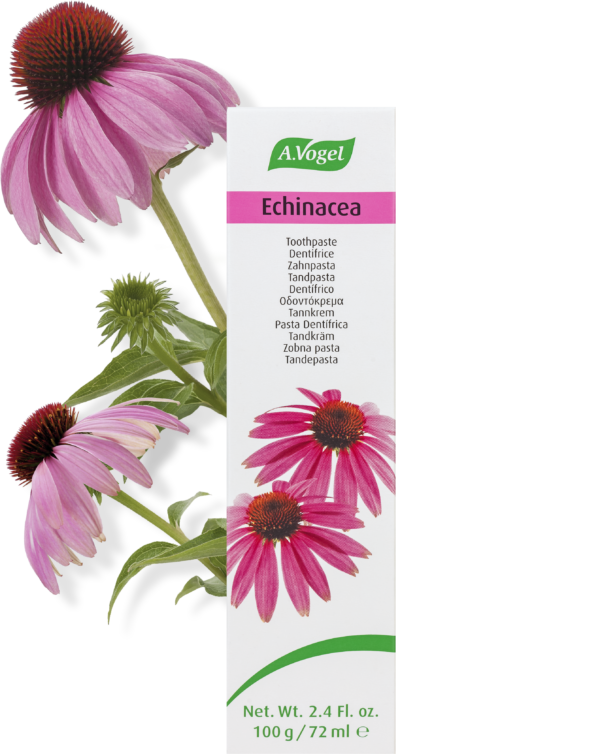 A.Vogel Echinacea Tandpasta (100 g)