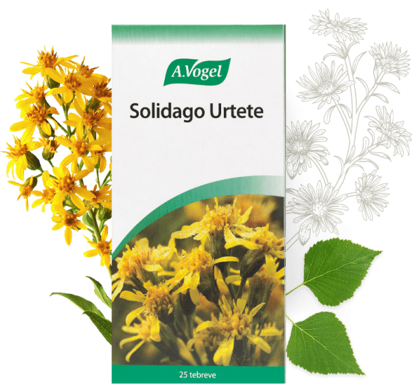 A.Vogel Solidago Urtete (25 breve)
