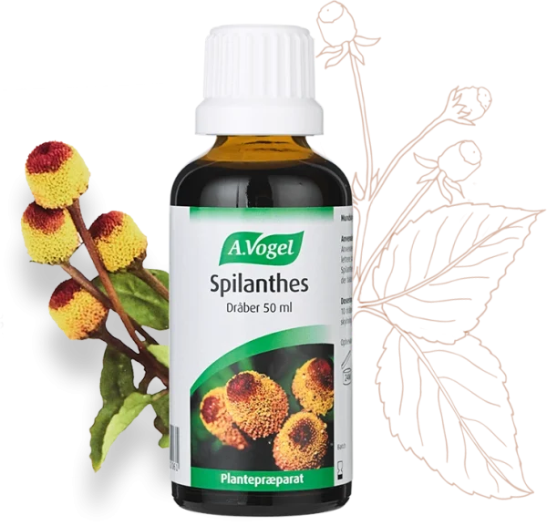 A.Vogel Spilanthes (50 ml)